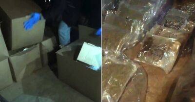 ВИДЕО. Полиция в Яунмарупе изъяла марихуану на полмиллиона евро