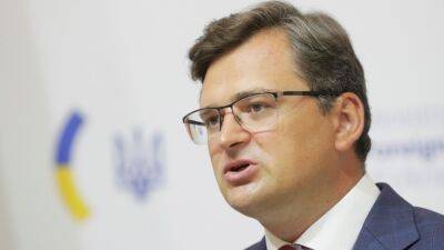В Киеве заявили, что референдумы в Донбассе "не изменят ничего"