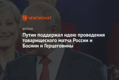 Путин поддержал идею проведения товарищеского матча России и Боснии и Герцеговины