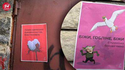 "Крымские боевые чайки": на полуострове начало действовать новое движение сопротивления