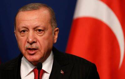 Ердоган закликав усі країни підтримати зусилля Туреччини щодо встановлення миру в Україні