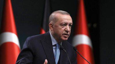 Эрдоган считает, что путин хочет положить конец войне в Украине