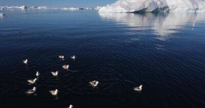 Чудовищно исхудала. Ученые из NASA взвесили Гренландию – крупнейший остров на Земле