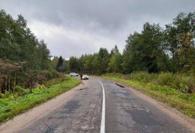 В Тверской области водитель насмерть сбил пешехода и уехал с места