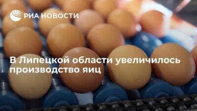 Игорь Артамонов - В Липецкой области увеличилось производство яиц - smartmoney.one - Липецкая обл.