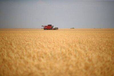 Пшеница во вторник выросла в цене на фоне проблем с предложением из Причерноморья