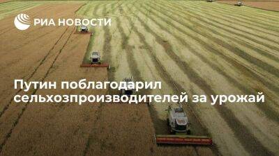 Путин поблагодарил сельхозпроизводителей за высокие показатели урожая в этом году
