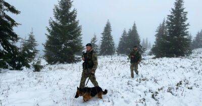 40 сантиметров снега: уклонистов предупредили, что бежать за границу через горы небезопасно