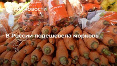 Росстат: в России с 13 по 19 сентября морковь подешевела на 4,6 процента
