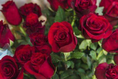 Нижегородец украл из магазина букет роз за 2 тысячи рублей