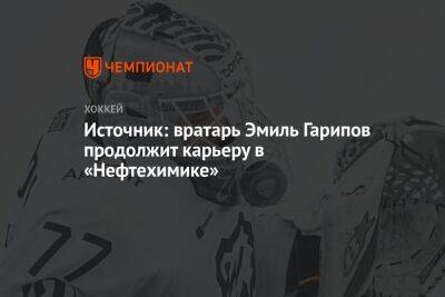Источник: вратарь Эмиль Гарипов продолжит карьеру в «Нефтехимике»
