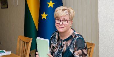 «Было время определиться». Спасение россиян от мобилизации не входит в обязанности Литвы — премьер-министр