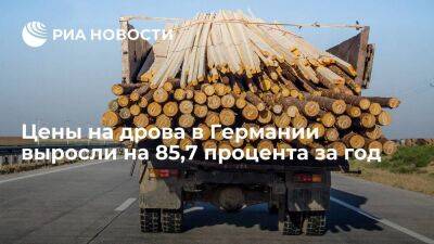 Статведомство Destatis сообщило, что цены на дрова в ФРГ выросли на 85,7 процента за год