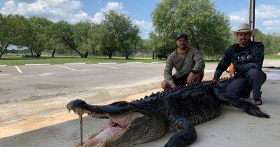 "Попадается раз в жизни": в Техасе поймали гигантского аллигатора (фото)