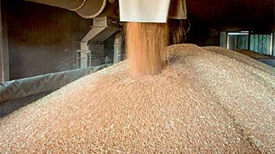 В Таджикистане собрано более 800 тыс. тонн зерновых и 300 тыс. тонн картофеля