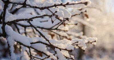 Будет ли в Украине "чрезвычайно суровая зима": ответ Укргидрометцентра
