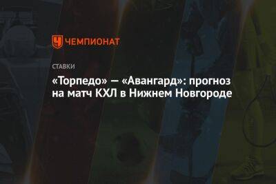 «Торпедо» — «Авангард»: прогноз на матч КХЛ в Нижнем Новгороде