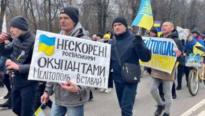 Названо кількість українських партизанів у Мелітополі