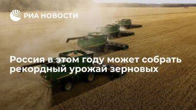 Вице-премьер Абрамченко: валовый сбор зерна в России может достигнуть 142 миллионов тон