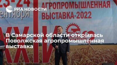 В Самарской области начала работу Поволжская агропромышленная выставка