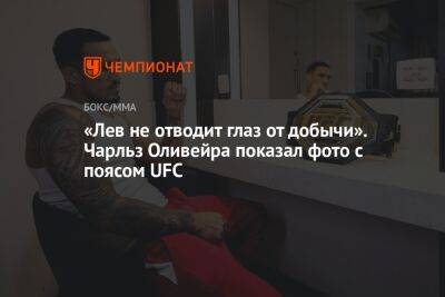 «Лев не отводит глаз от добычи». Чарльз Оливейра показал фото с поясом UFC