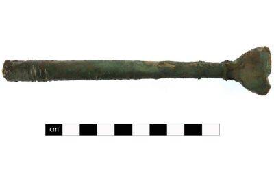 Надзвичайно рідкісний музичний інструмент 120-128 років нашої ери знайдено в Англії (фото)