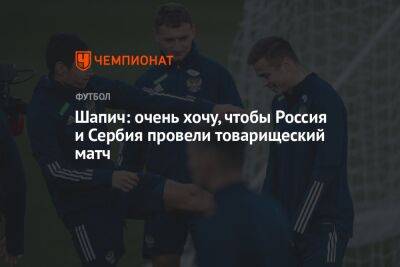 Шапич: очень хочу, чтобы Россия и Сербия провели товарищеский матч