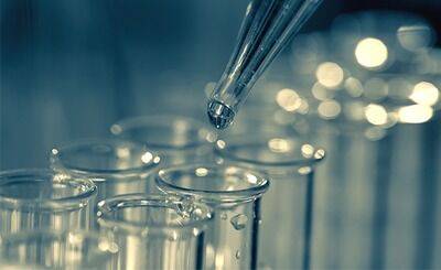 Мюнхенские учёные проверяют сточные воды Октоберфеста на коронавирус