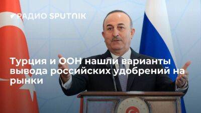Глава МИД Турции Чавушоглу: есть варианты наладить поставку российских удобрений на рынок