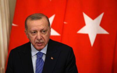 Ердоган планує провести переговори із Зеленським та Путіним: що обговорять - rbc.ua - Турция - місто Токіо - Україна - Росія