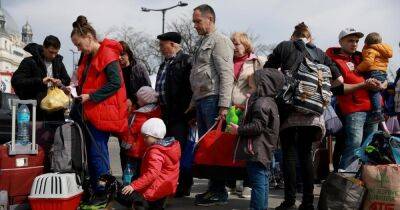 Украинские беженцы в Европе: мобильные операторы опубликовали неофициальные данные