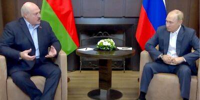«Еще назад попросятся»: Лукашенко попытался утешить Путина на фоне массового бегства россиян — видео