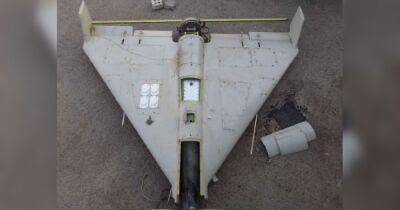 Иранские дроны-камикадзе комплектуют процессорами из США, – стратком ВСУ (фото)