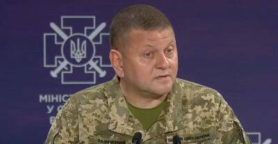 Залужный объяснил, почему россиянам дали специально наблизиться к Киеву: "Стратегия работает"