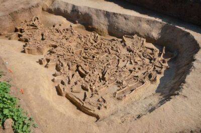 Археологи виявили унікальне масове поховання обезголовлених тіл епохи неоліту (Фото)
