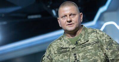 Победа Украины в боях с Россией не завершит войну, – Залужный