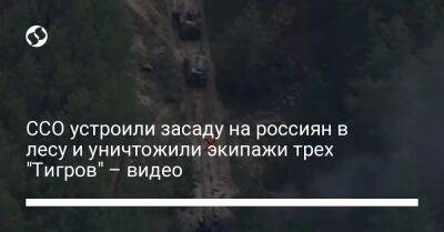 ССО устроили засаду на россиян в лесу и уничтожили экипажи трех "Тигров" – видео