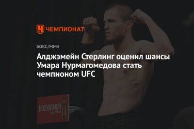 Алджэмейн Стерлинг оценил шансы Умара Нурмагомедова стать чемпионом UFC