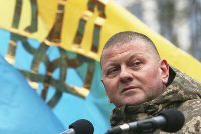 Командующий украинской армией: «Наша победа будет только передышкой перед следующей войной»