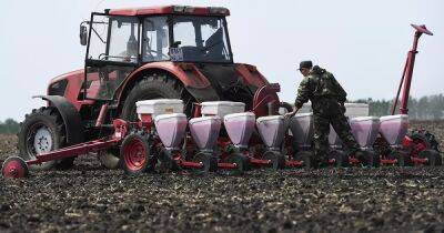 Дефицит продуктов и рост цен: в РФ просят дать отсрочку призывникам из агросектора