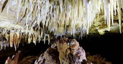 Тайны Наракортских пещер в Австралии: на 500 000 лет старше и хранят спрятанные "сокровища"