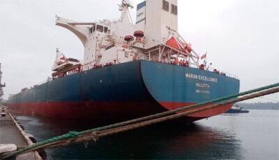 Із українських морських портів вийшли ще 9 суден із зерном