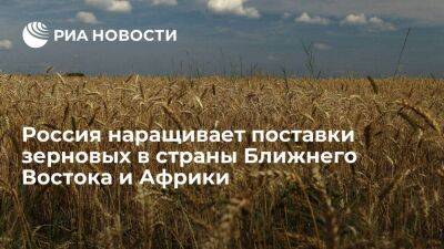 Глава Минсельхоза Патрушев: Россия наращивает поставки зерна на Ближний Восток и в Африку