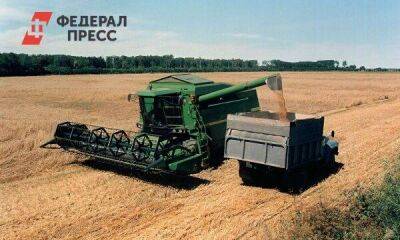 В России ожидается рекордный урожай зерна