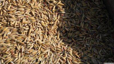 Мировые запасы зерна из-за засухи и войны в Украине уменьшились до минимума за десятилетие – Reuters