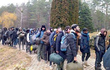 Белорусские силовики собрали около 800 беженцев на границе с Польшей