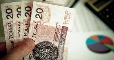 Украинцам в Польше выплатят больше 600 злотых – как получить деньги