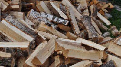 Некоторых украинцев бесплатно обеспечат дровами на зиму: кто сможет их получить