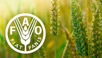 ООН створить офіс продовольчої організації ФАО в Україні - Мінекономіки