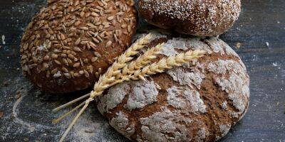 Какой хлеб должен быть в вашем рационе? Вы зря считаете его врагом вашей диеты